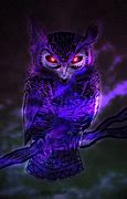 Image result for Owl Night Time