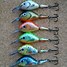 Image result for AC Trout Lure