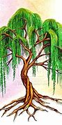 Image result for Willow Tree Drawing