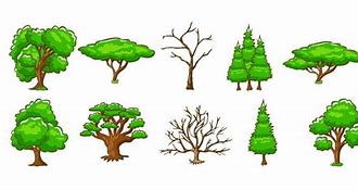 Image result for Green Tree C