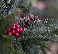 Image result for Christmas Season Pictures