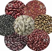 Image result for 100G Kidney Beans Protein