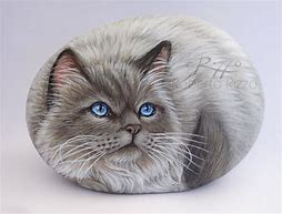 Image result for Rizzy Cat