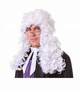 Image result for Judicial Wig