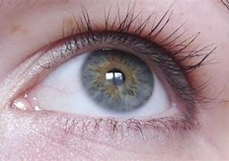 Image result for Dark Grey Hazel Eyes