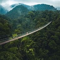 Image result for Wisata Jembatan Gantung Sukabumi