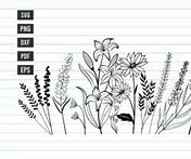 Image result for Hand Drawn Wildflower SVG