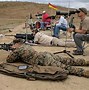 Image result for Palma Match Rifle