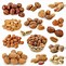 Image result for No Nuts Please Clip Art