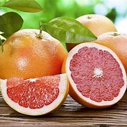 Image result for Citrus Genus