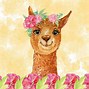 Image result for Llama Tierna