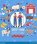 Image result for Products From Sheep