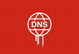 Image result for DNS Screen