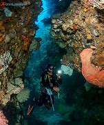 Image result for Ambon Scuba Diving