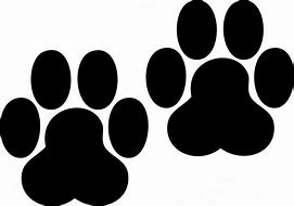 Image result for Two Paw Prints