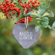 Image result for Welsh Christmas Decorations