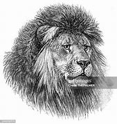 Image result for Lion Head Engraving