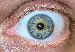 Image result for Dark Grey Hazel Eyes