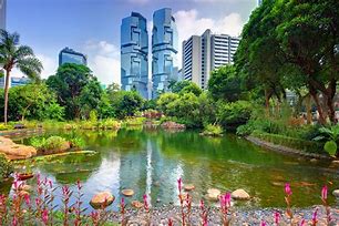 Image result for Activities to Do in Central Hong Kong