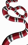 Image result for Gucci Snake PNG