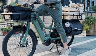 Image result for E-Bike Platform