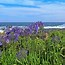 Image result for South Africa Places to Go