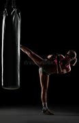 Image result for Bobo Punching Bag Doll