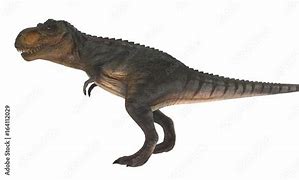 Image result for T-Rex Side View