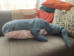 Image result for Shark Teddy