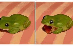 Image result for Yssssssss Frog Meme