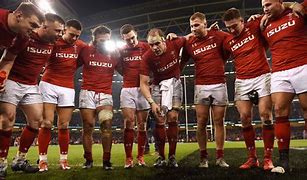 Image result for Welsh Rugby Cute Pics