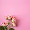 Image result for Flower Image Discrpshan Pink