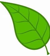 Image result for Mahangu Plant Leaf Clip Art