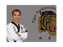 Image result for Taekwondo Tigers