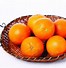 Image result for Mandarin Plant