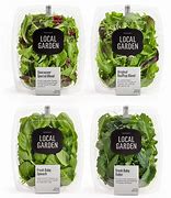 Image result for Salad Package