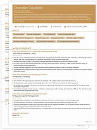 Image result for Work CV Template