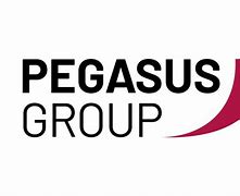 Image result for Pegasus Group Logo