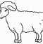 Image result for Drawing of Lamb