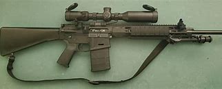 Image result for SR-25 vs M110