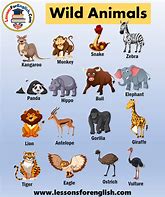 Image result for Aplique Animals