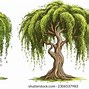 Image result for 1 Willow Tree