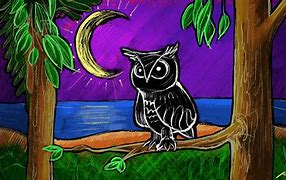 Image result for Night Owl Illustration