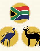 Image result for Things That Represent South Africa