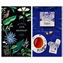 Image result for Tea Packaging Design