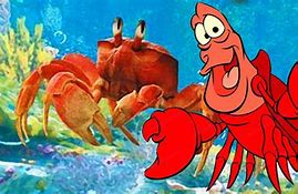 Image result for Sebastian the Little Mermaid Live-Action