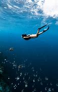 Image result for Snorkeling Pool