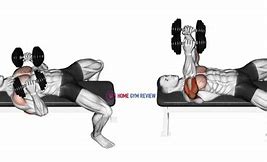 Image result for Lying Dumbbell Press