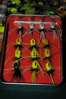 Image result for Fly Fishing with Poppers for Bluegills