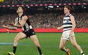 Image result for Collingwood Pennants